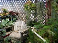 Inside the Greenhouse