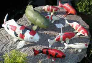 Koi Collectables