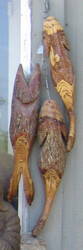 String of fish, sassafras wood