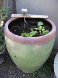 Small Pond in Tall Ceramic Bowl with Bamboo Spout