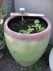 Tall Ceramic with Bamboo Spout